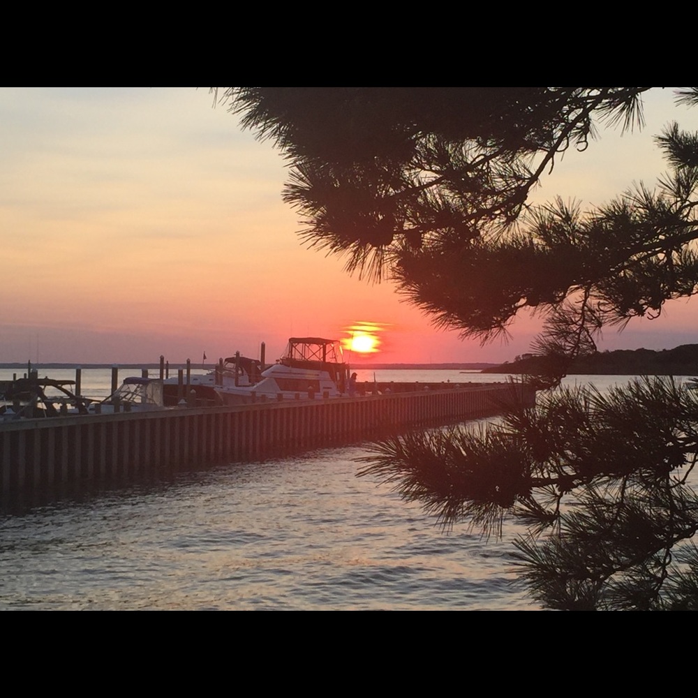 Meet your Posher, Denise